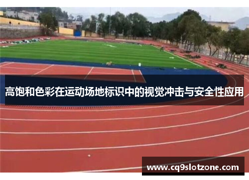 高饱和色彩在运动场地标识中的视觉冲击与安全性应用